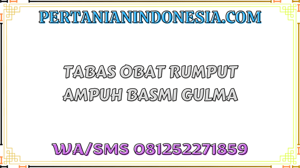 Tabas Obat Rumput Ampuh Basmi Gulma